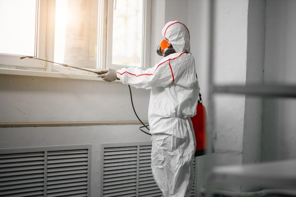 Professional mold remediation services in Freeport, MN
